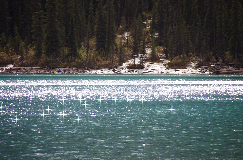 Banff NP 'Moraine  Lake Lakeshore' 16_09_2011 (126).JPG